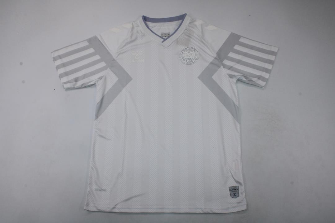 AAA Quality Denmark 2022 World Cup Away Soccer Jersey